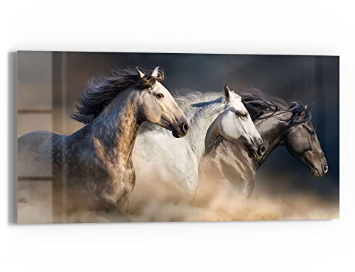DEQORI Glasbild Echtglas | Motiv Pferde-Trio im Galopp | horizontal einteilig 60x30 cm | schöne Dekoration | Wandbild für Wohnzimmer, Schlafzimmer, Flur & Küche | moderne Wanddeko