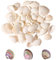 Zliger 500g Jakobsmuschel Natürliche Muschel Natürliches Muscheln Deko Weiße Jakobsmuscheln Maritime Hängedeko Weiße Jakobsmuscheln für Kerze Machen Home Decoration Party Hochzeitsdekor (4-6cm)