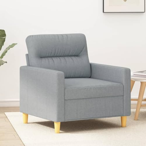 Emmtore Sofa 2-Sitzer, Loungesofa Couch mit Armlehnen Rückenkissen, Wohnzimmersofa Designsofa Metallgestell, Sitzmöbel Zweisitzer, Modern, StoffHellgrau,60 cm