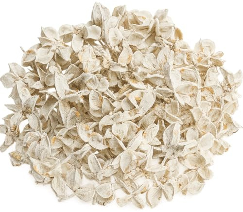 NaDeco Cotton Pods Weiß 250g | Baumwoll Knospen | Deko Blüten | getrocknete Naturdeko | Trockenblumen | Baumwoll Schoten | Streudeko | Naturdekoration