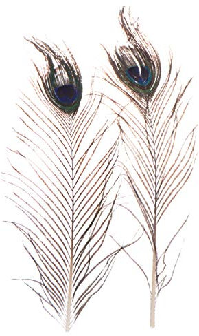 EXCEART 20 Stück DIY Pbr Hut Dekorative Nf Hut Kostüm Hooey Hüte Motorhauben Handgemachte Pfau Hut Für Hut Natürliche Stirnband Manuelle