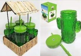 Générique Set de 4 Verres Cactus avec Pailles et Support Paillotte, Vert