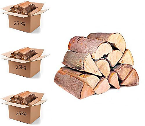 75 kg Brennholz - 100% Buche, Kaminholz, Grillholz, Trocken, Ofenfertig, (Scheitlänge ca.25-33 cm)