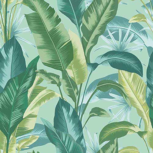 Envy Leaf It Out Twilight Wallpaper | Paste The Wall Application | Blue Leaf Wallcovering | Eco-Friendly