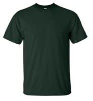 Heavy Cotton 100% Cotton Tshirt (G500), Forestgreen, Medium