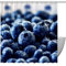 Rideau de douche personnalisé Fresh Clean Blueberry