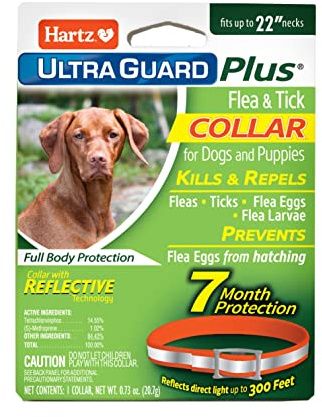 Hartz UltraGuard Plus Flea & Tick Collar for Dogs and Puppies, 7 Month Flea and Tick Prevention and Protection Per Collar, Reflective Orange, up to 22 Inch Neck