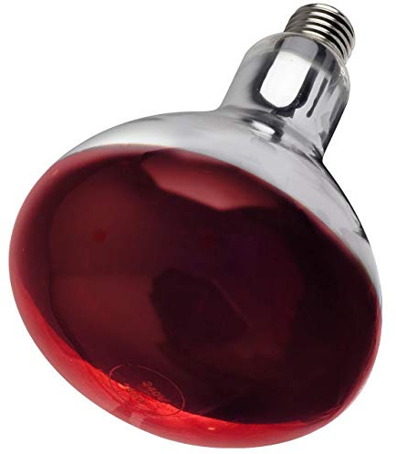 Other INTELEC HARD GLASS INFRA-RED BULB RUBY Clear, TSK0295