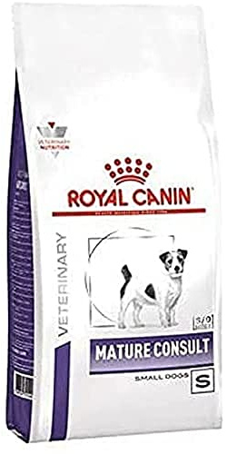 Royal Canin Mature Small Dog Dental und Vitality Hund - Trockenfutter für ältere Hunde 3,5kg