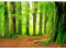 Runa Art Papier peint intissé 396 x 280 cm forêt | Toison Décoration Murale Salon Chambre á Coucherr | Fabrication Allemande | vert Brown 9037012a