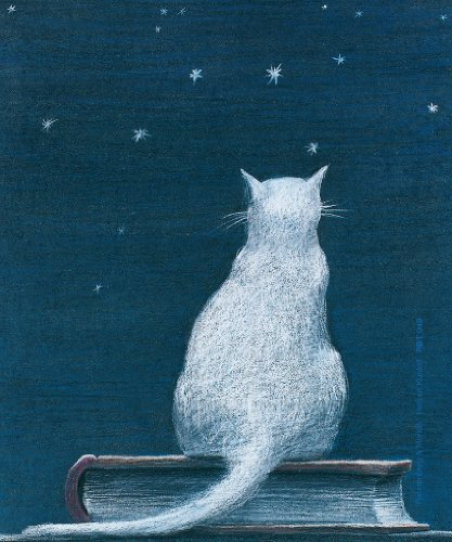 Brillenputztuch Katze auf Buch