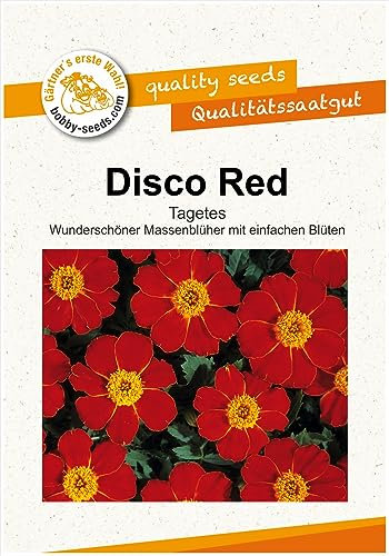 Blumensamen DISCO Red Tagetes Portion