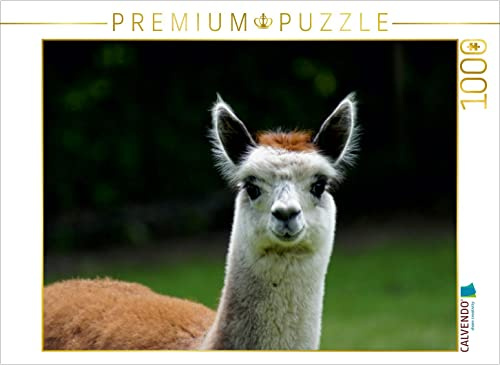 CALVENDO Puzzle Alpaka Lächeln | 1000 Teile Lege-Größe 64 x 48 cm Foto-Puzzle für glückliche Stunden