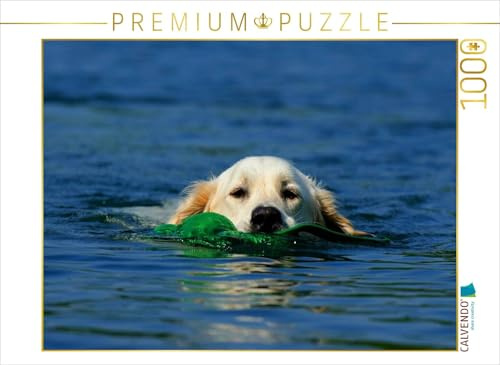 CALVENDO Puzzle Schwimmender Hund | 1000 Teile Lege-Größe 64 x 48 cm Foto-Puzzle für glückliche Stunden