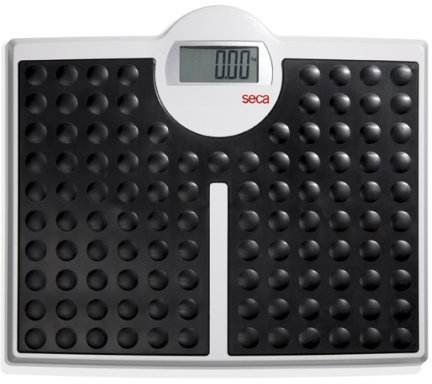 seca 813 High Capacity Digital Flat Scale for Individual Patient Use. by Seca Scales