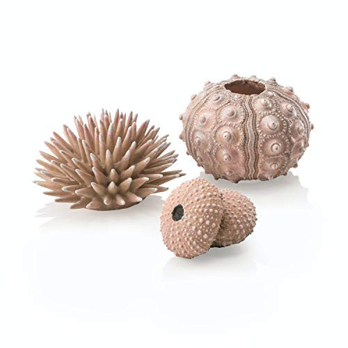 biOrb 48366 Seeigel Set natural - detailgetreue Aquarien-Dekoration, geeignet für alle biOrb-Aquarien