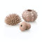 biOrb 48366 Seeigel Set natural - detailgetreue Aquarien-Dekoration, geeignet für alle biOrb-Aquarien