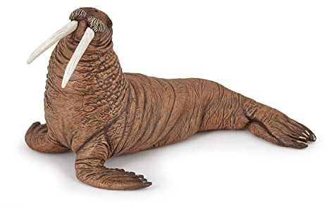 Papo - Realistic Walrus Figure - Ages 3+ - Marine Life Collection - Educational Play Marine Mammals - Gift Idea Toy for Girls and Boys