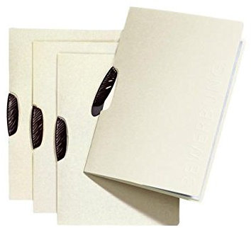 Bewerbungsmappe Swing beige PAGNA 22007-09