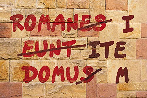 1art1 Das Leben des Brian Poster Römische Mauer, Romani ITE Domum Plakat | Bild 91x61 cm