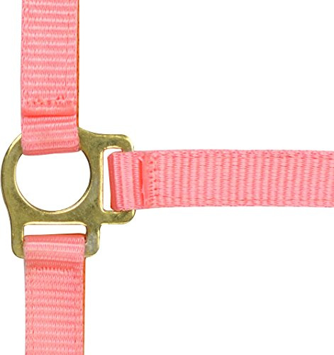 Fohlenhalfter mit Mini-Führstrick. rosa