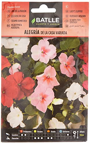 Semillas Batlle Alegria de la casa Impatiens vda
