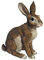 Dekofigur Horst Hase sitzend Feldhase Rammler Kaninchen Gartendeko Tierfigur