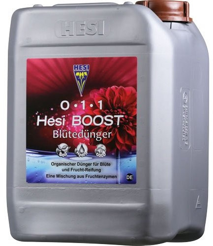 Hesi Boost