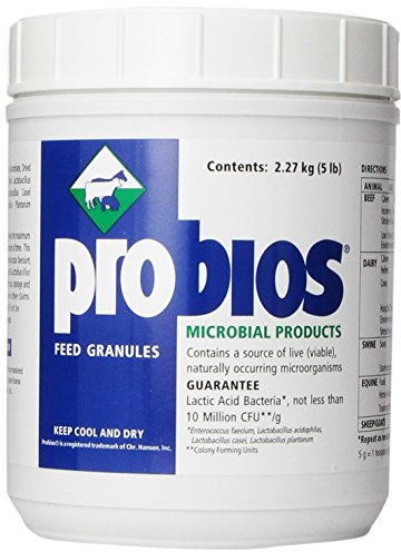 Probios Feed Granules for Horses, 5 lb