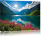Pixxprint Blumenwiese am Bergsee, Größe: 80x60cm, Leinwandbild, fertig gespannt, Wandbild, Dekoration, Kunstdruck, kein Poster