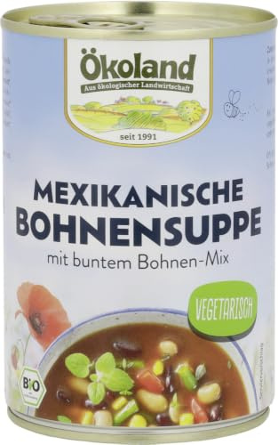 Mexikanische Bohnensuppe 1 x 400 g