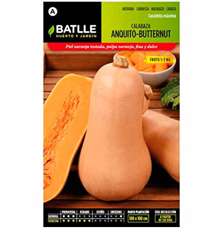 Semillas Batlle Calabaza Anquito-Butternut