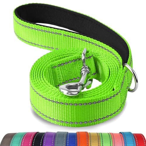 Joytale Double-Sided Reflective Dog Leash, 6 FT/5FT/4 FT, Padded Handle Nylon Dogs Leashes for Walking, Training Lead for Medium & Large Dogs, Green, 5FT