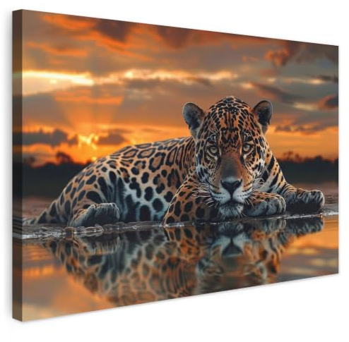 MuchoWow© Leinwand Bilder Wanddeko Wohnzimmer Aesthetic Room Decor Deko | 90x60 cm - Zimmer Wandbilder Moderne Bild auf Natur - Leopard - Tier - Sonnenuntergang - Modern
