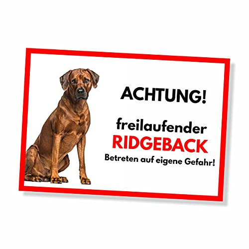 Ridgeback Freilaufender Hund Dog Schild Spruch Türschild Hundeschild Warnschild Geschenkidee Sicherheitsschild Hund Privatgrundstück Hundewarnung Warnung vor dem Hund
