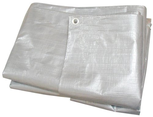 Lalizas Tarp, 4.0 x 3.0m, Silber, Wasserdicht, UV-Schutz