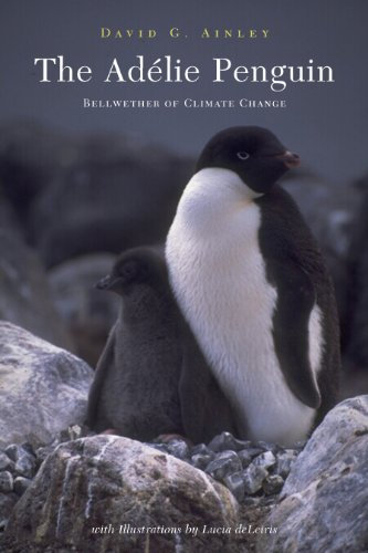 The Adélie Penguin: Bellwether of Climate Change (English Edition)