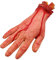 Ntcpefy Bloody Horror Scary Halloween Prop Abgetrennte LebensgrößE Arm Hand House Scary Bloody