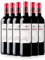 PRADOREY Roble Origen-Vino tinto - Ribera del Duero - 95% Tempranillo, 5% Merlot - Vino joven con ligero paso por barrica y tinaja - 0,75L - 6 Bot. (2022)