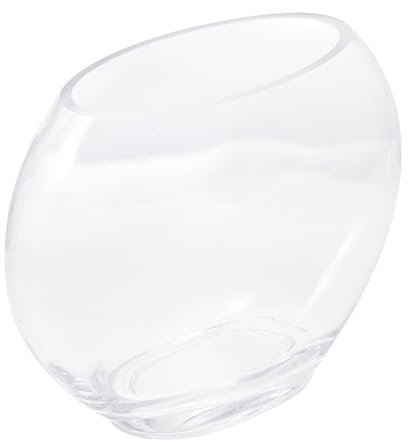 FRCOLOR Aquarium De Table Transparent Pour Décoration Petit Réservoir Verre Pour Paysage Salon Et Bureau Pour Fleurs Plantes Et Mousses