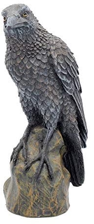 Nemesis Now Ravens Rest Figur, 20 cm, Schwarz