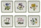 Portmeirion Home & Gifts Botanic Garden - Set di 6 piatti quadrati, 18 cm