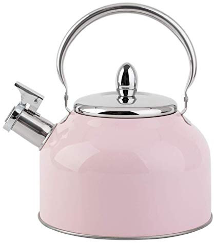 Stainless Steel Whistling Kettle - 2.5L with Handle for Kitchen, Gas Stove, Camping - Pink