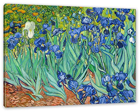 Pixxprint Vincent Van Gogh - Schwertlilien, Größe: 120x80cm, Leinwandbild, fertig gespannt, Wandbild, Dekoration, Kunstdruck, kein Poster