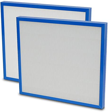 NATURAL BREEZE (2 Packs) True HEPA Filter Replacement for HoMedics AF-20FL Reinforced Replacement fits AF-20 AP-25