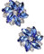 Perfeclan 2X Amovible Strass Chaussures Clips Chaussures Bijoux Décoration Cristal Chaussure de Mariage Fleur Décoratif pour Broches Robe Chaussures, Bleu