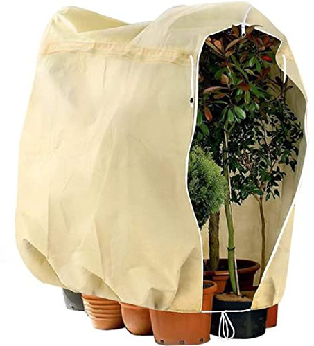 BeGrit Winterschutz für Kübelpflanzen 240x200cm Winterschutzvlies Frostschutz Pflanzen Kälteschutz überwinterungszelt Pflanzenschutz Wiederverwendbar Pflanzenschutzhaube für Olivenbaum Palmen