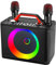 Karaoke Professionale Completo, ALPOWL K06 Portatile PA Speaker System con Microfono Karaoke 2 Microfoni Wireless per Festa Domestica, Riunione, Nozze, Chiesa, Picnic, All'aperto/Interno [Nero]