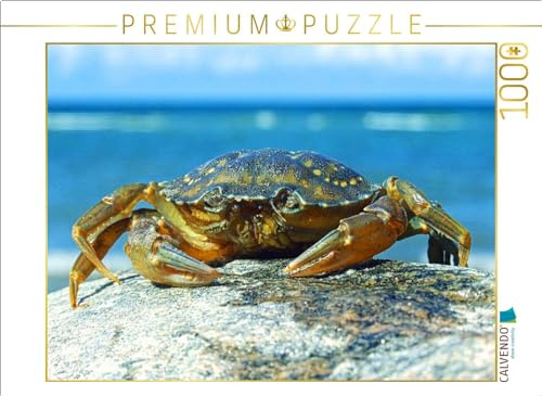 CALVENDO Puzzle Strandkrabbe | 1000 Teile Lege-Größe 64 x 48 cm Foto-Puzzle für glückliche Stunden