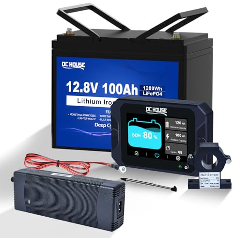 12V 100Ah LiFePO4 Batterie mit 10A Batterie Ladegeräte Batterie Monitor 300A batteriewächter 12V/24V/36V/48V Wohnmobile, Solaranlagen